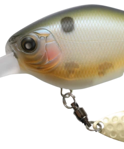 NISHINE - CHIPPAWA ROUND BILL - DEEP DIVING