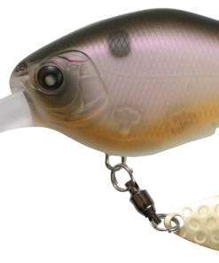 NISHINE - CHIPPAWA ROUND BILL - DEEP DIVING