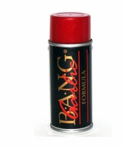 B.A.N.G. FISHING ATTRACTANTS Bang Scent 5oz Aersol Garlic