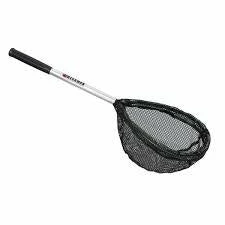 BECKMAN LIVE WELL NET