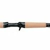 DAIWA BLX CASTING ROD