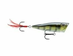 TOPWATER HARD BAITS Storm - Rattling Cover Pop Arashi