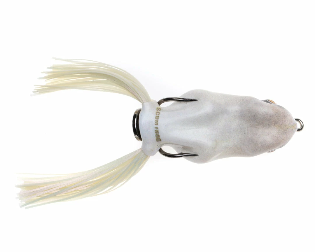 HOLLOW BODY FROGS Scum Frog Painted Trophy Series