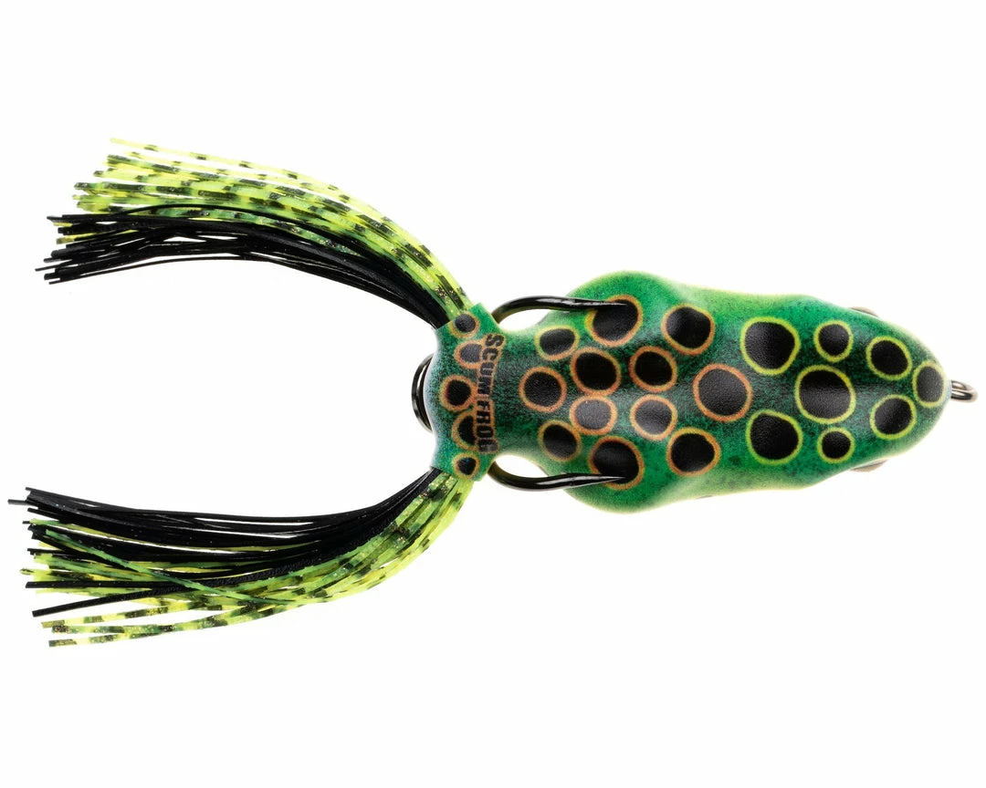 HOLLOW BODY FROGS Scum Frog Painted Trophy Series