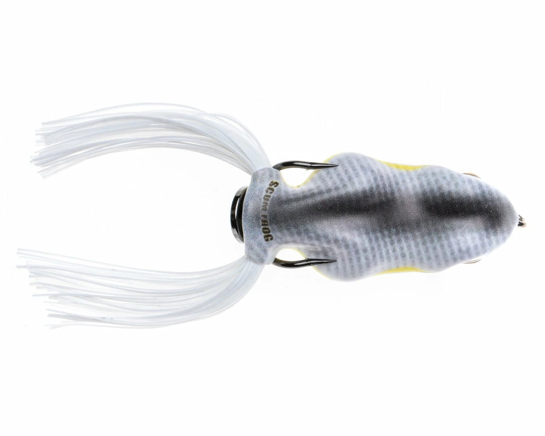 HOLLOW BODY FROGS Scum Frog Painted Trophy Series