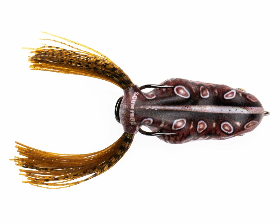 HOLLOW BODY FROGS Scum Frog Painted Trophy Series