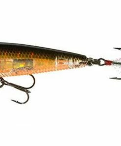 YO-ZURI 3DB POPPER (F)