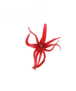 CLAM - MAKI PLASTICS NEKI