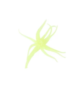 CLAM - MAKI PLASTICS NEKI