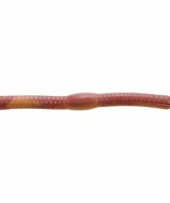 SCENTED BAITS Berkley - Gulp Fat Floating Trout Worm