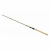 SPINNING RODS DAIWA NOODLE ROD