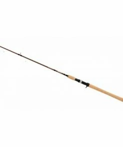 SPINNING RODS DAIWA NOODLE ROD