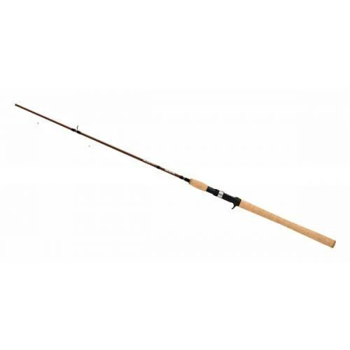 SPINNING RODS DAIWA NOODLE ROD