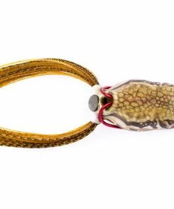 Scum Frog Launch Series