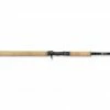 RAPALA R-TYPE MUSKY ROD